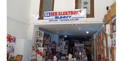 Şaser Elektronik