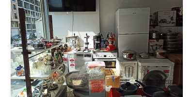 Şaser Elektronik